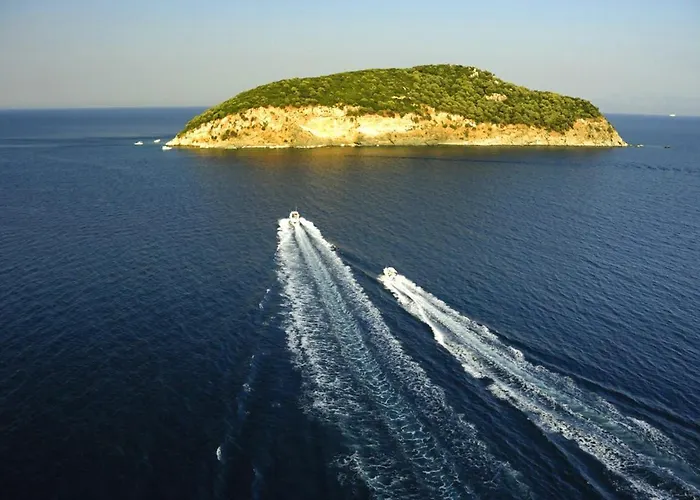 Lägenhet Seaside Paradise